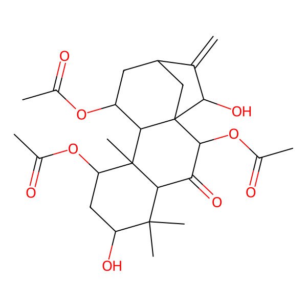 2D Structure of (2,8-Diacetyloxy-6,15-dihydroxy-5,5,9-trimethyl-14-methylidene-3-oxo-11-tetracyclo[11.2.1.01,10.04,9]hexadecanyl) acetate