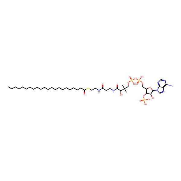 2D Structure of Behenyl-coenzyme A