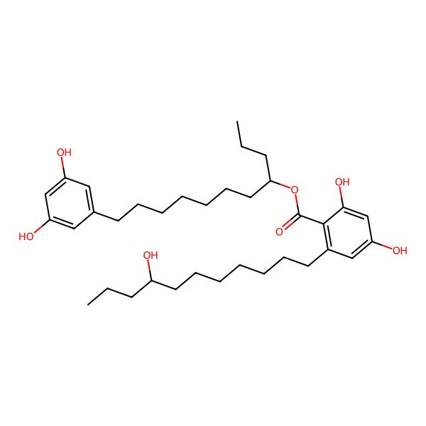 2D Structure of 11-(3,5-Dihydroxyphenyl)undecan-4-yl 2,4-dihydroxy-6-(8-hydroxyundecyl)benzoate