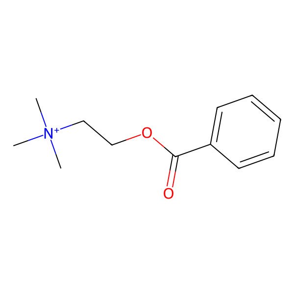 2D Structure of Benzoylcholine