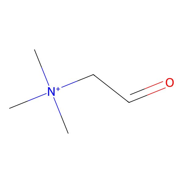 2D Structure of Betaine aldehyde