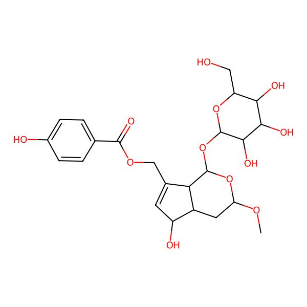 2D Structure of [(1S,3S,4aR,5S,7aS)-5-hydroxy-3-methoxy-1-[(2S,3R,4S,5S,6R)-3,4,5-trihydroxy-6-(hydroxymethyl)oxan-2-yl]oxy-1,3,4,4a,5,7a-hexahydrocyclopenta[c]pyran-7-yl]methyl 4-hydroxybenzoate