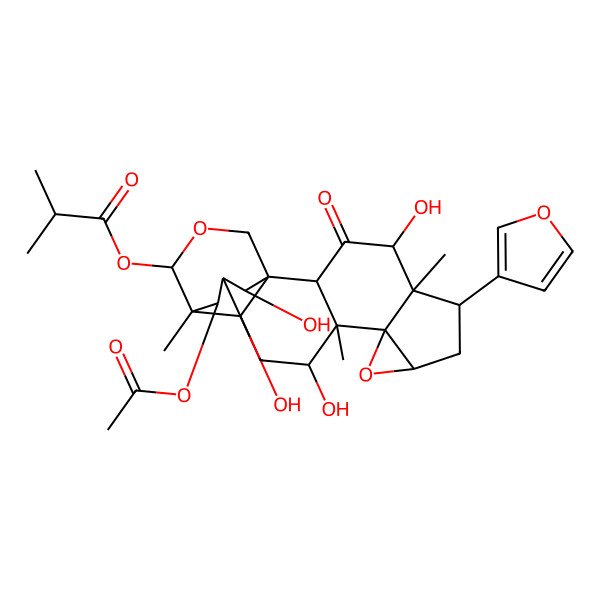 2D Structure of [(1S,2R,4R,5R,6S,8R,10S,11S,12R,14R,15S,19R,20R,21S)-21-acetyloxy-6-(furan-3-yl)-4,12,19,20-tetrahydroxy-5,11,15-trimethyl-3-oxo-9,17-dioxahexacyclo[13.3.3.01,14.02,11.05,10.08,10]henicosan-16-yl] 2-methylpropanoate