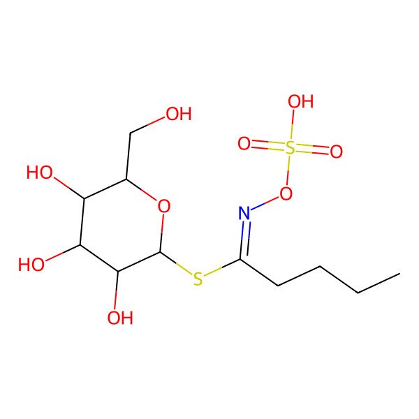 2D Structure of Butyl glucosinolate