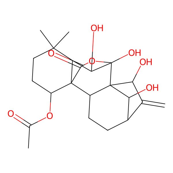 2D Structure of [(1R,2R,5S,7R,8R,9S,10S,11R,15S,18R)-7,9,10,18-tetrahydroxy-12,12-dimethyl-6-methylidene-16-oxo-17-oxapentacyclo[7.6.2.15,8.01,11.02,8]octadecan-15-yl] acetate