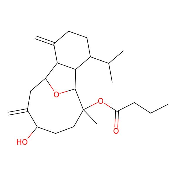 2D Structure of [(1R,2R,6R,7R,8R,9R,12S)-12-hydroxy-9-methyl-3,13-dimethylidene-6-propan-2-yl-15-oxatricyclo[6.6.1.02,7]pentadecan-9-yl] butanoate