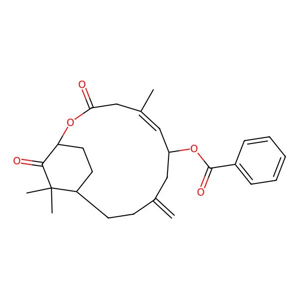 2D Structure of [(1S,5E,7S,12R)-5,13,13-trimethyl-9-methylidene-3,14-dioxo-2-oxabicyclo[10.2.2]hexadec-5-en-7-yl] benzoate