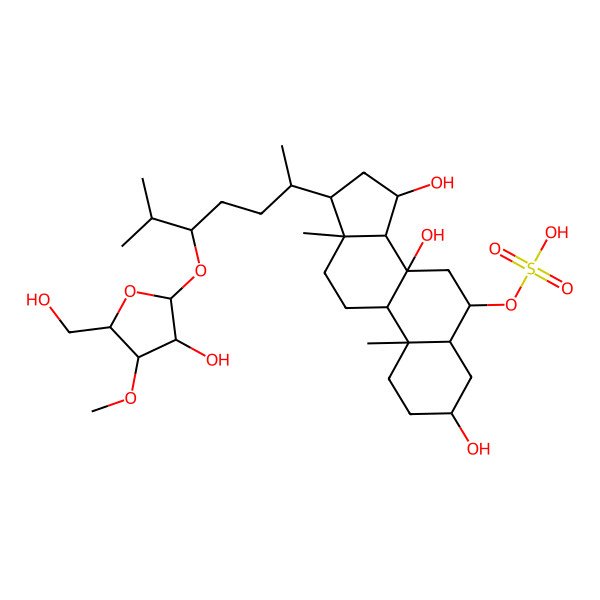 2D Structure of [(3S,5S,6S,8S,9R,10S,13R,14S,15S,17R)-3,8,15-trihydroxy-17-[(2R,5S)-5-[(2R,3R,4R,5S)-3-hydroxy-5-(hydroxymethyl)-4-methoxyoxolan-2-yl]oxy-6-methylheptan-2-yl]-10,13-dimethyl-1,2,3,4,5,6,7,9,11,12,14,15,16,17-tetradecahydrocyclopenta[a]phenanthren-6-yl] hydrogen sulfate