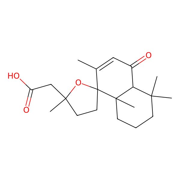 2D Structure of 2-[(2'S,4aS,8R,8aS)-2',4,4,7,8a-pentamethyl-5-oxospiro[1,2,3,4a-tetrahydronaphthalene-8,5'-oxolane]-2'-yl]acetic acid