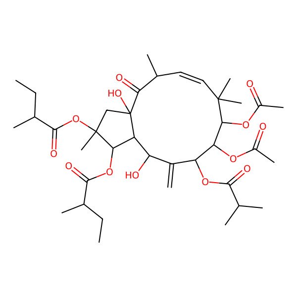 2D Structure of [(1R,2R,3aR,5S,6E,9S,10S,11S,13R,13aS)-9,10-diacetyloxy-3a,13-dihydroxy-2,5,8,8-tetramethyl-2-[(2R)-2-methylbutanoyl]oxy-12-methylidene-11-(2-methylpropanoyloxy)-4-oxo-1,3,5,9,10,11,13,13a-octahydrocyclopenta[12]annulen-1-yl] (2R)-2-methylbutanoate