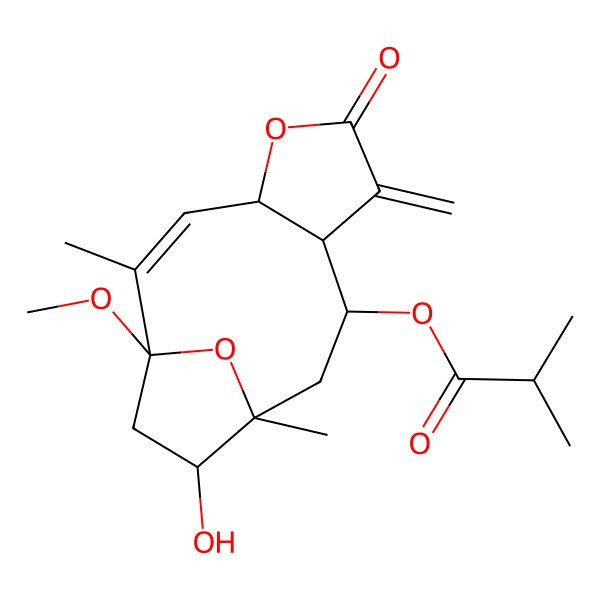 2D Structure of (12-Hydroxy-1-methoxy-2,11-dimethyl-7-methylidene-6-oxo-5,14-dioxatricyclo[9.2.1.04,8]tetradec-2-en-9-yl) 2-methylpropanoate