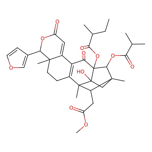 2D Structure of [(1S,5R,6R,13R,14R,15R,17R,18R)-6-(furan-3-yl)-17-hydroxy-18-(2-methoxy-2-oxoethyl)-1,5,15-trimethyl-14-(2-methylpropanoyloxy)-8,12-dioxo-7-oxapentacyclo[13.2.1.02,11.05,10.013,17]octadeca-2(11),9-dien-13-yl] (2S)-2-methylbutanoate