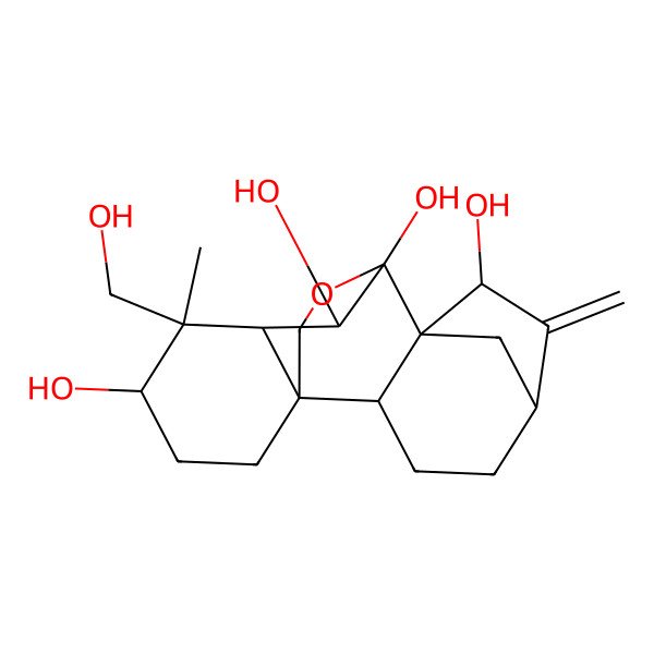 2D Structure of 12-(Hydroxymethyl)-12-methyl-6-methylidene-17-oxapentacyclo[7.6.2.15,8.01,11.02,8]octadecane-7,9,10,13-tetrol
