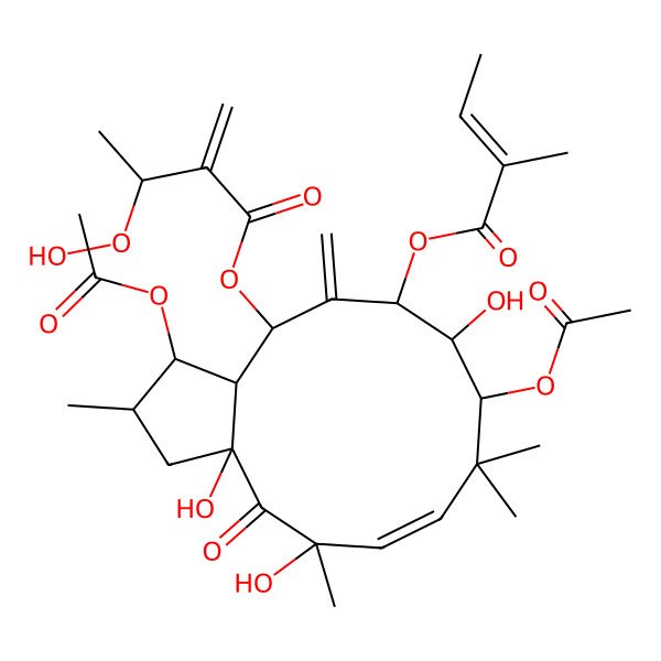 2D Structure of [1,9-Diacetyloxy-3a,5,10-trihydroxy-2,5,8,8-tetramethyl-11-(2-methylbut-2-enoyloxy)-12-methylidene-4-oxo-1,2,3,9,10,11,13,13a-octahydrocyclopenta[12]annulen-13-yl] 3-hydroperoxy-2-methylidenebutanoate