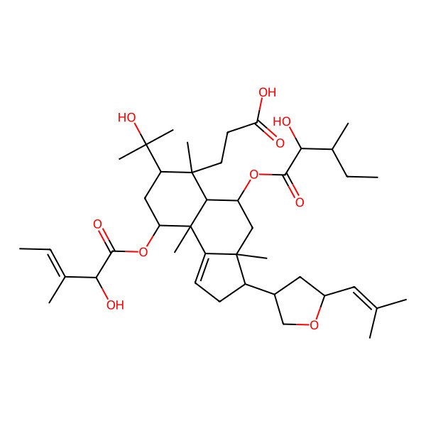 2D Structure of 3-[(3S,3aS,5R,5aR,6R,7R,9R,9aR)-5-[(2R,3R)-2-hydroxy-3-methylpentanoyl]oxy-9-[(E,2R)-2-hydroxy-3-methylpent-3-enoyl]oxy-7-(2-hydroxypropan-2-yl)-3a,6,9a-trimethyl-3-[(3S,5S)-5-(2-methylprop-1-enyl)oxolan-3-yl]-2,3,4,5,5a,7,8,9-octahydrocyclopenta[a]naphthalen-6-yl]propanoic acid