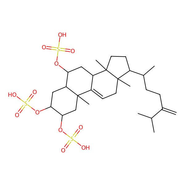 2D Structure of [(2S,3S,5S,6S,10S,13R,14S,17R)-10,13,14-trimethyl-17-[(2R)-6-methyl-5-methylideneheptan-2-yl]-2,3-disulfooxy-1,2,3,4,5,6,7,8,12,15,16,17-dodecahydrocyclopenta[a]phenanthren-6-yl] hydrogen sulfate