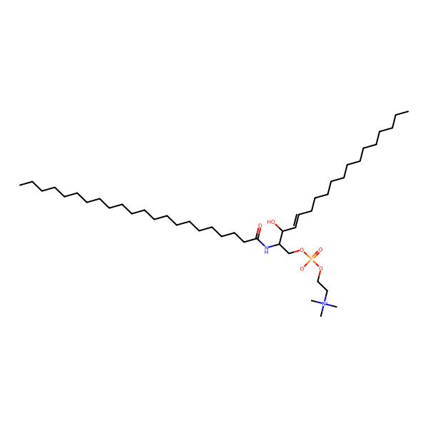 2D Structure of C22 Sphingomyelin