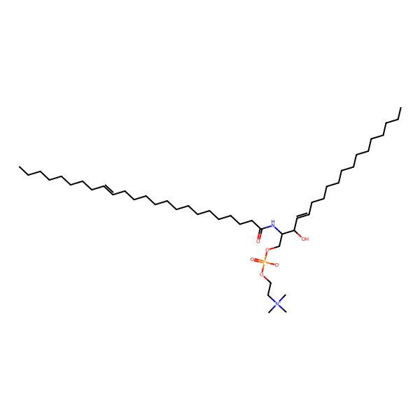2D Structure of C24:1 Sphingomyelin