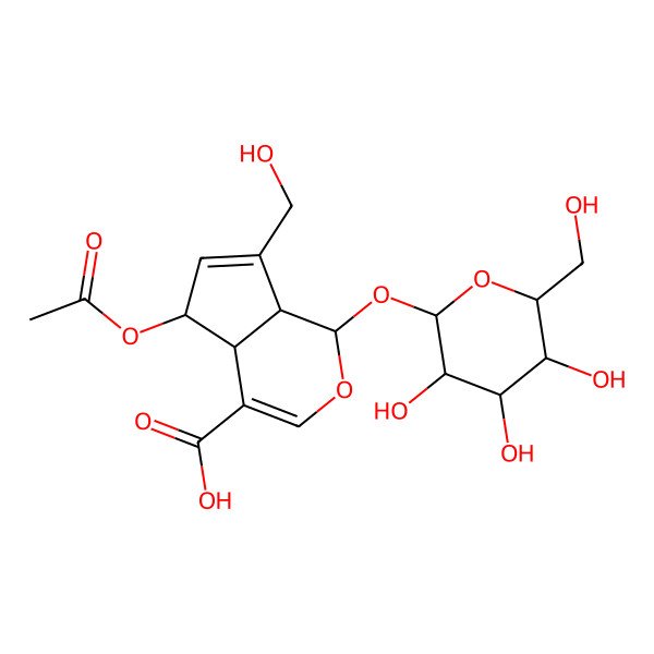 2D Structure of (4aR,7aS)-5-acetyloxy-7-(hydroxymethyl)-1-[3,4,5-trihydroxy-6-(hydroxymethyl)oxan-2-yl]oxy-1,4a,5,7a-tetrahydrocyclopenta[c]pyran-4-carboxylic acid