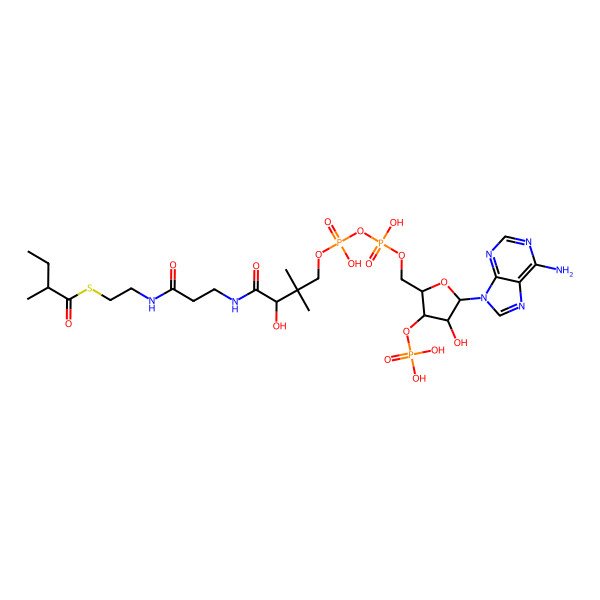 2D Structure of S-[2-[3-[[4-[[[5-(6-aminopurin-9-yl)-4-hydroxy-3-phosphonooxyoxolan-2-yl]methoxy-hydroxyphosphoryl]oxy-hydroxyphosphoryl]oxy-2-hydroxy-3,3-dimethylbutanoyl]amino]propanoylamino]ethyl] 2-methylbutanethioate