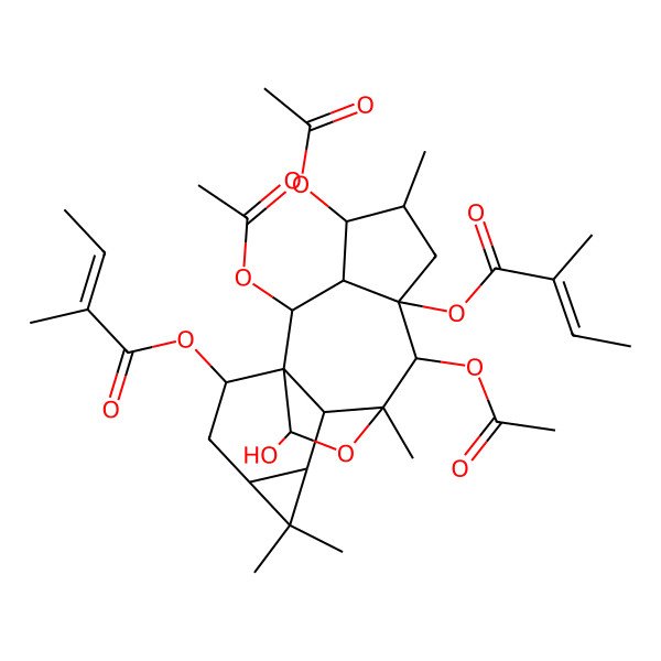 2D Structure of [(1R,2R,3R,4S,5S,7R,8R,9R,10R,11S,13S,15R)-2,4,8-triacetyloxy-16-hydroxy-5,9,12,12-tetramethyl-7-[(E)-2-methylbut-2-enoyl]oxy-17-oxapentacyclo[7.6.2.01,10.03,7.011,13]heptadecan-15-yl] (E)-2-methylbut-2-enoate