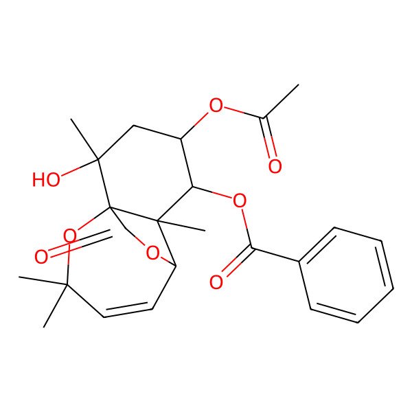 2D Structure of (4-Acetyloxy-2-hydroxy-2,6,10,10-tetramethyl-12-oxo-11,13-dioxatricyclo[5.4.2.01,6]tridec-8-en-5-yl) benzoate