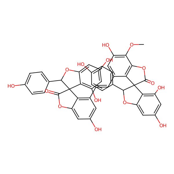 2D Structure of (2'R,3S)-4',6,6'-trihydroxy-2'-(4-hydroxyphenyl)-7-methoxy-4-[(E)-2-[(2'R,3R)-4',6,6'-trihydroxy-2'-(4-hydroxyphenyl)-2-oxospiro[1-benzofuran-3,3'-2H-1-benzofuran]-4-yl]ethenyl]spiro[1-benzofuran-3,3'-2H-1-benzofuran]-2-one