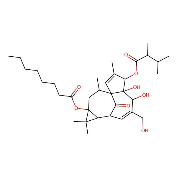 2D Structure of [(1S,4S,5S,6R,9S,10R,12S,14R)-4-[(2R)-2,3-dimethylbutanoyl]oxy-5,6-dihydroxy-7-(hydroxymethyl)-3,11,11,14-tetramethyl-15-oxo-12-tetracyclo[7.5.1.01,5.010,12]pentadeca-2,7-dienyl] octanoate