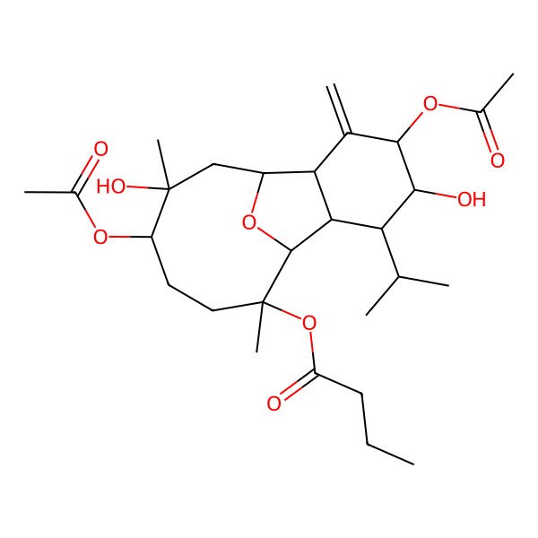 2D Structure of [(1R,2R,4R,5S,6R,7R,8R,9R,12S,13S)-4,12-diacetyloxy-5,13-dihydroxy-9,13-dimethyl-3-methylidene-6-propan-2-yl-15-oxatricyclo[6.6.1.02,7]pentadecan-9-yl] butanoate