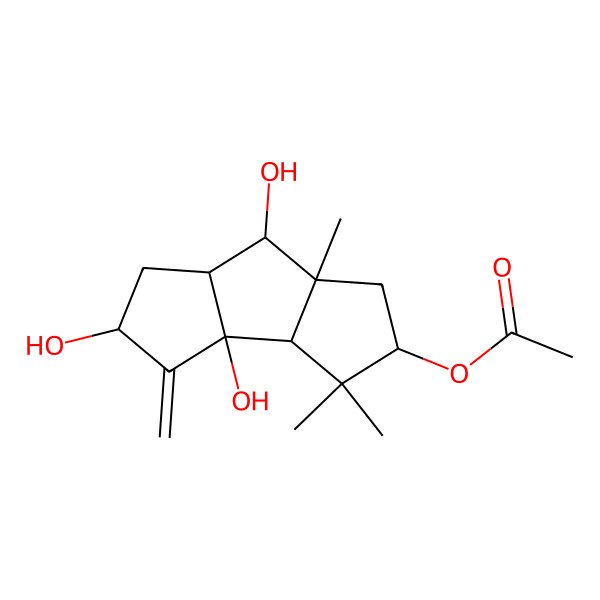 2D Structure of [(2S,3aS,3bS,5R,6aR,7S,7aR)-2,3a,7-trihydroxy-4,4,6a-trimethyl-3-methylidene-2,3b,5,6,7,7a-hexahydro-1H-cyclopenta[a]pentalen-5-yl] acetate