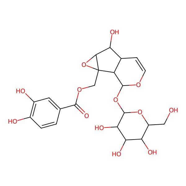 2D Structure of [5-Hydroxy-10-[3,4,5-trihydroxy-6-(hydroxymethyl)oxan-2-yl]oxy-3,9-dioxatricyclo[4.4.0.02,4]dec-7-en-2-yl]methyl 3,4-dihydroxybenzoate