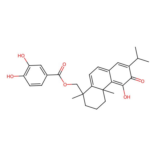 2D Structure of (5-hydroxy-1,4a-dimethyl-6-oxo-7-propan-2-yl-3,4-dihydro-2H-phenanthren-1-yl)methyl 3,4-dihydroxybenzoate