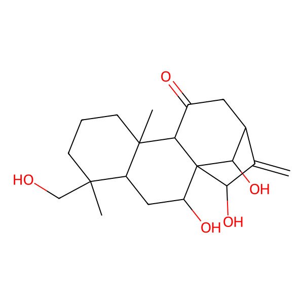 2D Structure of (1S,2R,4S,5S,9R,13S,15R,16R)-2,15,16-trihydroxy-5-(hydroxymethyl)-5,9-dimethyl-14-methylidenetetracyclo[11.2.1.01,10.04,9]hexadecan-11-one