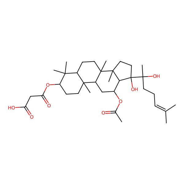 2D Structure of 3-[[(3R,5R,8R,9R,10R,12R,13R,14R,17R)-12-acetyloxy-17-hydroxy-17-[(2S)-2-hydroxy-6-methylhept-5-en-2-yl]-4,4,8,10,14-pentamethyl-1,2,3,5,6,7,9,11,12,13,15,16-dodecahydrocyclopenta[a]phenanthren-3-yl]oxy]-3-oxopropanoic acid