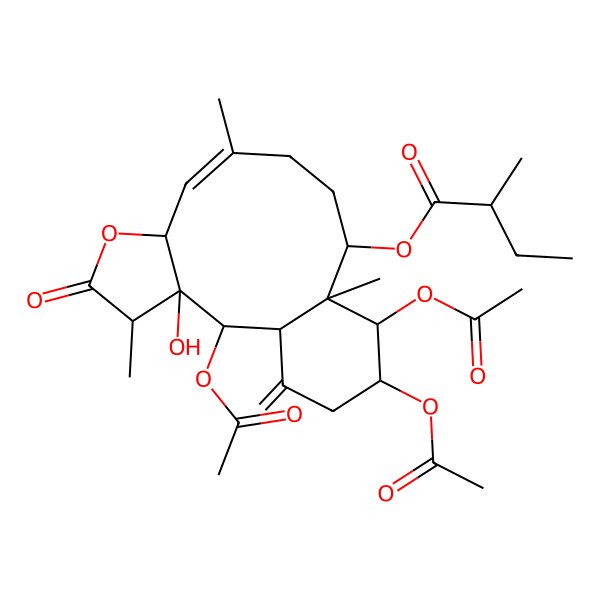 2D Structure of [(1R,2R,3R,4S,7R,8Z,12R,13R,14S,15R)-2,14,15-triacetyloxy-3-hydroxy-4,9,13-trimethyl-17-methylidene-5-oxo-6-oxatricyclo[11.4.0.03,7]heptadec-8-en-12-yl] (2R)-2-methylbutanoate