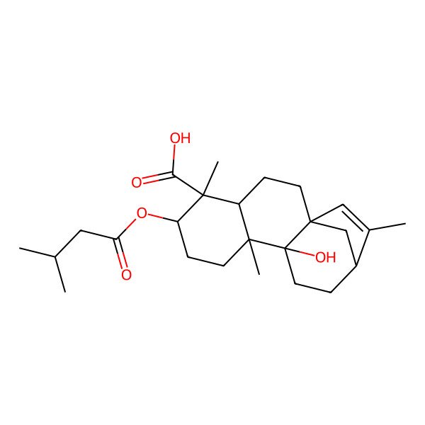 2D Structure of (1S,4S,5S,6R,9R,10R,13R)-10-hydroxy-5,9,14-trimethyl-6-(3-methylbutanoyloxy)tetracyclo[11.2.1.01,10.04,9]hexadec-14-ene-5-carboxylic acid