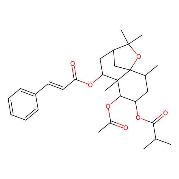 2D Structure of [5-Acetyloxy-2,6,10,10-tetramethyl-7-(3-phenylprop-2-enoyloxy)-11-oxatricyclo[7.2.1.01,6]dodecan-4-yl] 2-methylpropanoate