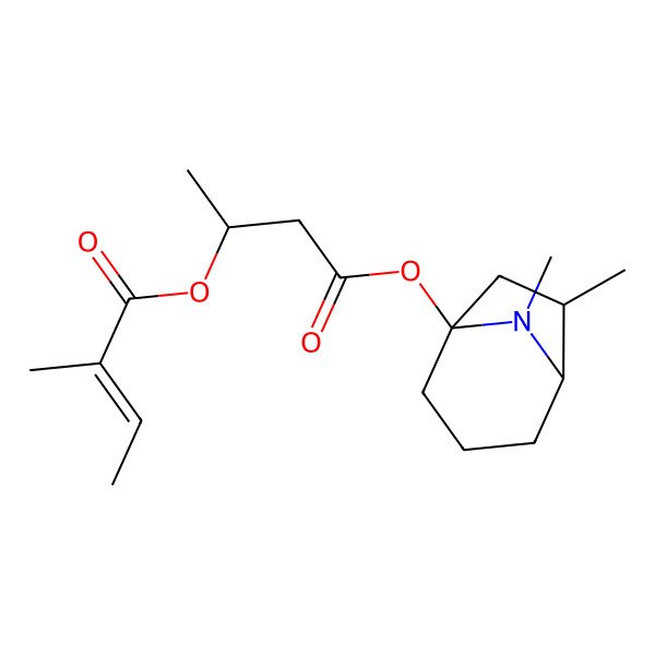 2D Structure of [4-[[(1R,5R)-6,8-dimethyl-8-azabicyclo[3.2.1]octan-1-yl]oxy]-4-oxobutan-2-yl] (E)-2-methylbut-2-enoate