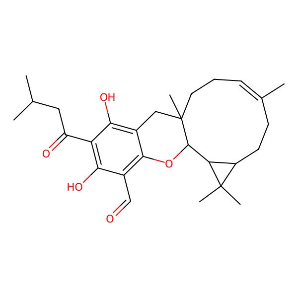 2D Structure of 14,16-Dihydroxy-3,3,7,11-tetramethyl-15-(3-methylbutanoyl)-19-oxatetracyclo[9.8.0.02,4.013,18]nonadeca-7,13,15,17-tetraene-17-carbaldehyde