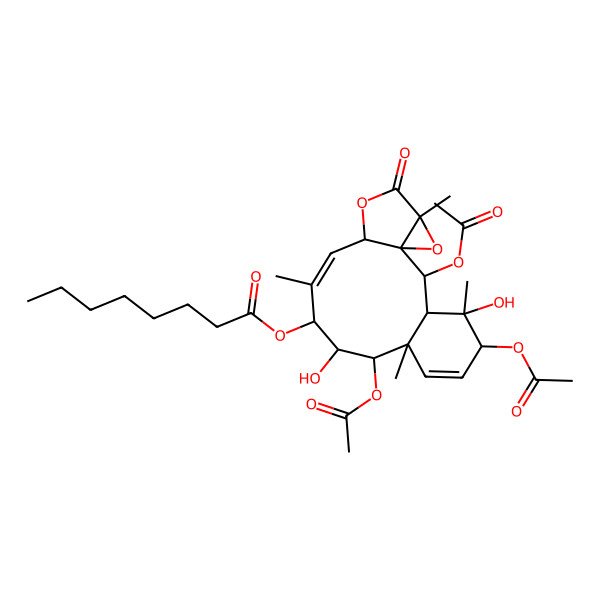 2D Structure of [(1S,2R,3S,4S,5R,8R,9R,10R,11S,12Z,14S,17R)-2,5,9-triacetyloxy-4,10-dihydroxy-4,8,12,17-tetramethyl-16-oxo-15,18-dioxatetracyclo[12.4.0.01,17.03,8]octadeca-6,12-dien-11-yl] octanoate