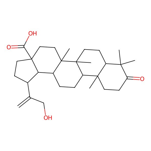 2D Structure of (1R,3aS,5aR,5bR,7aR,11aR,11bR,13aR,13bR)-1-(3-hydroxyprop-1-en-2-yl)-5a,5b,8,8,11a-pentamethyl-9-oxo-2,3,4,5,6,7,7a,10,11,11b,12,13,13a,13b-tetradecahydro-1H-cyclopenta[a]chrysene-3a-carboxylic acid