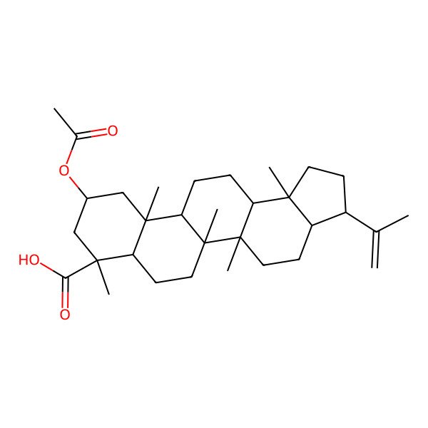 2D Structure of 10-Acetyloxy-5a,5b,8,11a,13b-pentamethyl-3-prop-1-en-2-yl-1,2,3,3a,4,5,6,7,7a,9,10,11,11b,12,13,13a-hexadecahydrocyclopenta[a]chrysene-8-carboxylic acid
