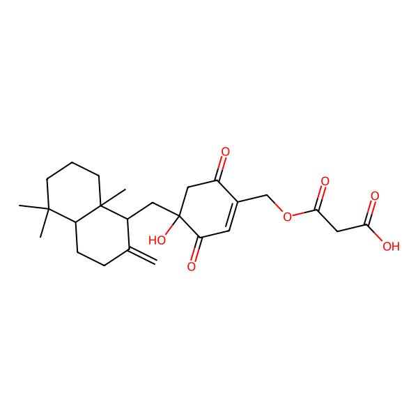 2D Structure of 3-[[4-[(5,5,8a-trimethyl-2-methylidene-3,4,4a,6,7,8-hexahydro-1H-naphthalen-1-yl)methyl]-4-hydroxy-3,6-dioxocyclohexen-1-yl]methoxy]-3-oxopropanoic acid