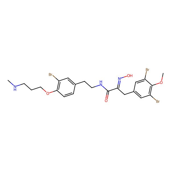 2D Structure of (2Z)-N-[2-[3-bromo-4-[3-(methylamino)propoxy]phenyl]ethyl]-3-(3,5-dibromo-4-methoxyphenyl)-2-hydroxyiminopropanamide