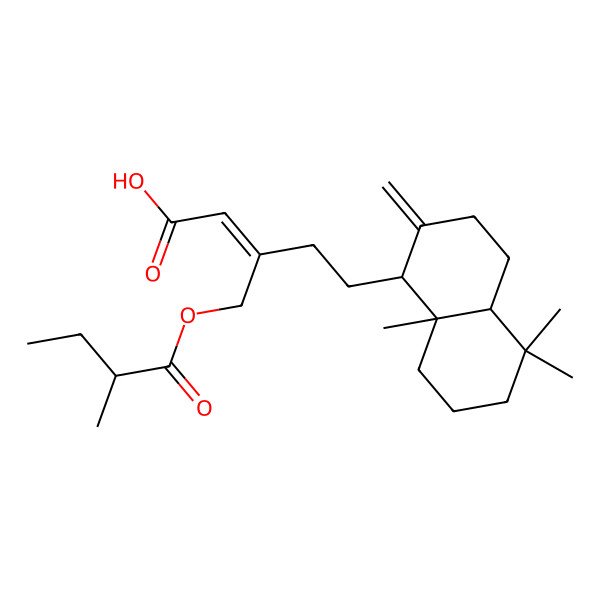 2D Structure of 5-(5,5,8a-trimethyl-2-methylidene-3,4,4a,6,7,8-hexahydro-1H-naphthalen-1-yl)-3-(2-methylbutanoyloxymethyl)pent-2-enoic acid