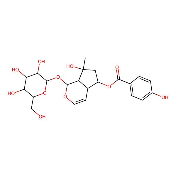 2D Structure of [(1S,4aR,5R,7S,7aS)-7-hydroxy-7-methyl-1-[(2S,3S,5R)-3,4,5-trihydroxy-6-(hydroxymethyl)oxan-2-yl]oxy-4a,5,6,7a-tetrahydro-1H-cyclopenta[c]pyran-5-yl] 4-hydroxybenzoate