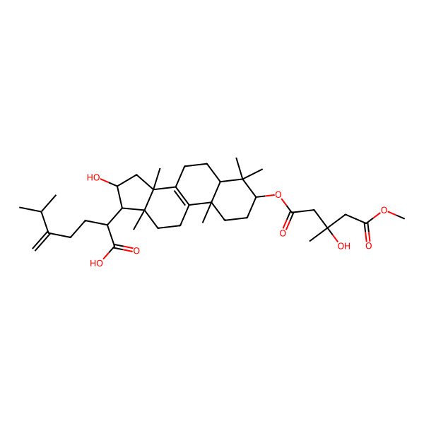 2D Structure of 2-[16-hydroxy-3-(3-hydroxy-5-methoxy-3-methyl-5-oxopentanoyl)oxy-4,4,10,13,14-pentamethyl-2,3,5,6,7,11,12,15,16,17-decahydro-1H-cyclopenta[a]phenanthren-17-yl]-6-methyl-5-methylideneheptanoic acid
