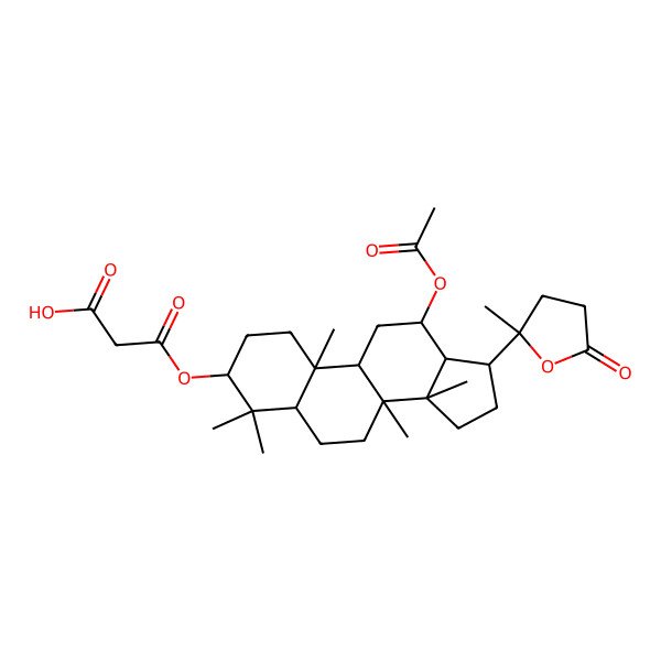 2D Structure of 3-[[(3R,5R,8R,9R,10R,12R,13R,14R,17S)-12-acetyloxy-4,4,8,10,14-pentamethyl-17-[(2S)-2-methyl-5-oxooxolan-2-yl]-2,3,5,6,7,9,11,12,13,15,16,17-dodecahydro-1H-cyclopenta[a]phenanthren-3-yl]oxy]-3-oxopropanoic acid