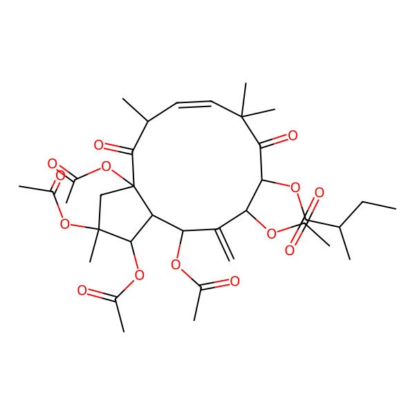 2D Structure of (1,2,3a,11,13-pentaacetyloxy-2,5,8,8-tetramethyl-12-methylidene-4,9-dioxo-3,5,10,11,13,13a-hexahydro-1H-cyclopenta[12]annulen-10-yl) 2-methylbutanoate