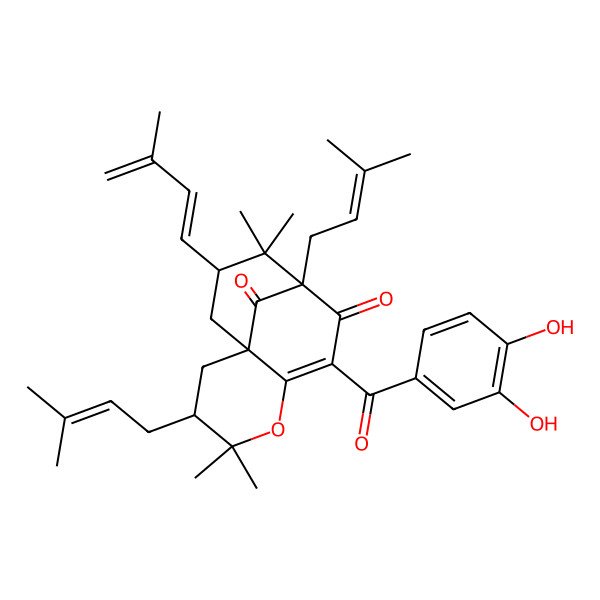 2D Structure of (1S,3S,9R,11R)-7-(3,4-dihydroxybenzoyl)-4,4,10,10-tetramethyl-11-[(1E)-3-methylbuta-1,3-dienyl]-3,9-bis(3-methylbut-2-enyl)-5-oxatricyclo[7.3.1.01,6]tridec-6-ene-8,13-dione